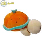Plush Turtle 061