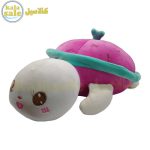 Plush Turtle 071