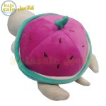Plush Turtle 081