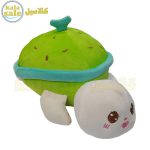 Plush Turtle 091