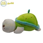Plush Turtle 101