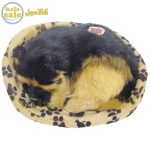 Musical Sleeping Dog B 041